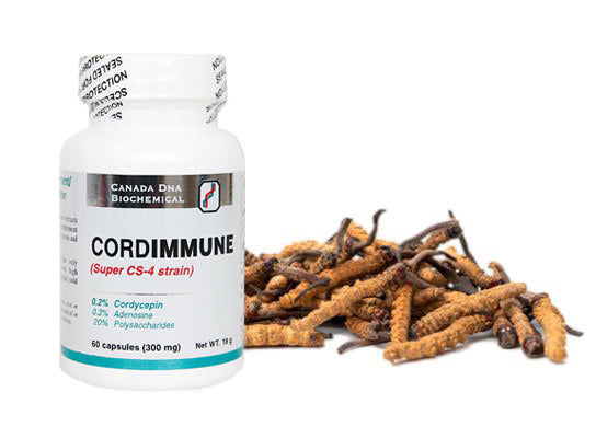 CordImmune™ (Cordyceps Sinensis)